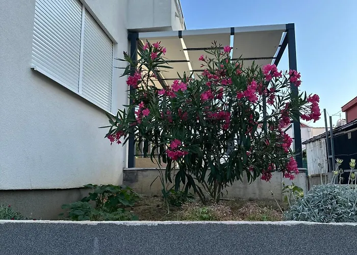 アパート Jankovic ザトン