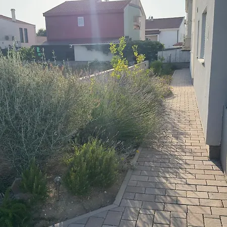Jankovic Apartamento