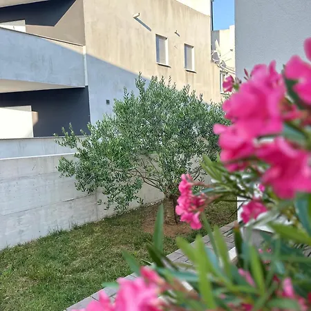 Jankovic Apartamento