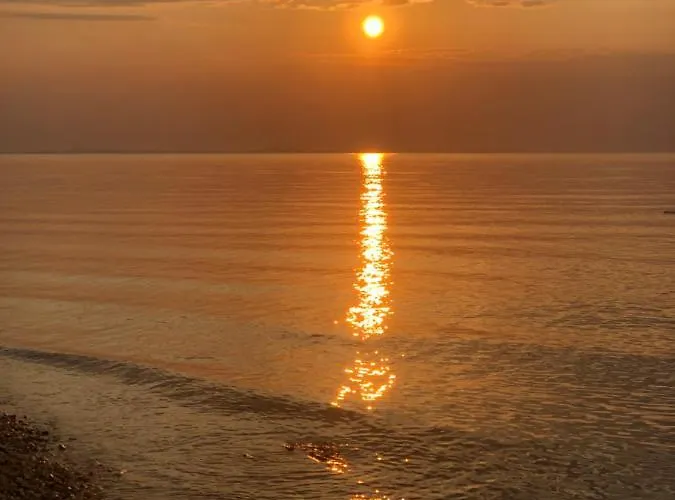 아파트 Jankovic 자톤